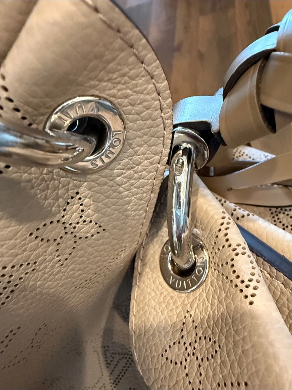 Louis Vuitton Taupe Monogram Braided-Handle Shoulder Bag